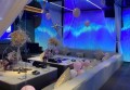 杭州木门厂招聘：寻木作行业新机遇